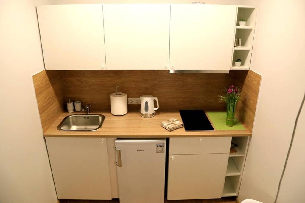 וילנה Bright Apartment,For 1-4,Near Old Town מראה חיצוני תמונה