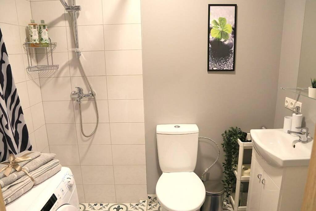 וילנה Bright Apartment,For 1-4,Near Old Town מראה חיצוני תמונה